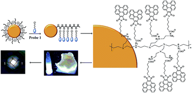 Graphical abstract: A benzoperylene probe self-assembled on polyethyleneimine/manganese doped ZnS quantum dots: a new nanocomposite for bright and tunable white light emission
