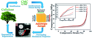 Graphical abstract: Mechanically strong fully biobased anisotropic cellulose aerogels