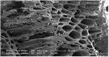 Graphical abstract: Impact of attapulgite clay on the phases and structures of novel woodceramics