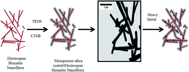 Graphical abstract: Electrospun hematite nanofiber/mesoporous silica core/shell nanomaterials as an efficient adsorbent for heavy metals