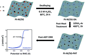 Graphical abstract: Stabilization of platinum–nickel alloy nanoparticles with a sulfur-doped graphene support in polymer electrolyte membrane fuel cells