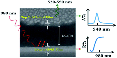 Graphical abstract: A plasmon-tuned ‘gold sandwich’ for metal enhanced fluorescence in silica coated NaYF4:Yb,Er upconversion nanoparticles