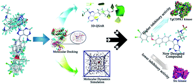 Graphical abstract: Study of novel pyrazolo[3,4-d]pyrimidine derivatives as selective TgCDPK1 inhibitors: molecular docking, structure-based 3D-QSAR and molecular dynamics simulation