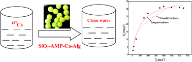 Graphical abstract: Ammonium molybdate phosphate functionalized silicon dioxide impregnated in calcium alginate for highly efficient removal of 137Cs from aquatic bodies