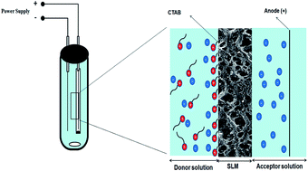 Graphical abstract: Improved electromembrane microextraction efficiency of chloramphenicol in dairy products: the cooperation of reduced graphene oxide and a cationic surfactant