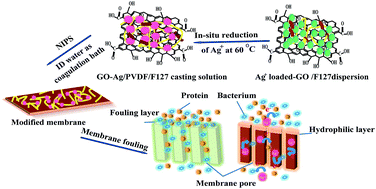 Graphical abstract: Synergy of graphene oxide–silver nanocomposite and amphiphilic co-polymer F127 on antibacterial properties and permeability of PVDF membrane