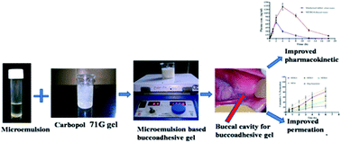 Graphical abstract: Development of an α-linolenic acid containing a soft nanocarrier for oral delivery-part II: buccoadhesive gel