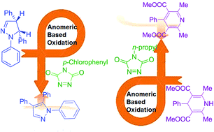 Graphical abstract: The first computational study for the oxidative aromatization of pyrazolines and 1,4-dihydropyridines using 1,2,4-triazolinediones: an anomeric-based oxidation