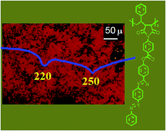Graphical abstract: Maleimide copolymers containing azobenzene moieties – synthesis and study of liquid crystalline and optical properties