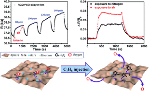 Graphical abstract: Reduced graphene oxide–polyethylene oxide hybrid films for toluene sensing at room temperature