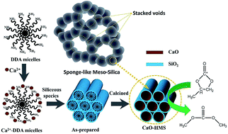 Graphical abstract: Template-induced in situ dispersion of enhanced basic-sites on sponge-like mesoporous silica and its improved catalytic property