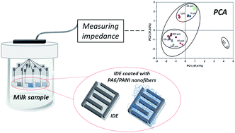 Graphical abstract: An electronic tongue based on conducting electrospun nanofibers for detecting tetracycline in milk samples