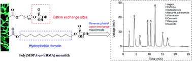 Graphical abstract: Phosphatidic acid-functionalized monolithic stationary phase for reversed-phase/cation-exchange mixed mode chromatography