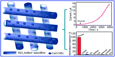 Graphical abstract: A novel CuO/TiO2 hollow nanofiber film for non-enzymatic glucose sensing