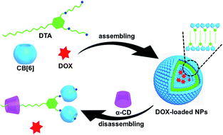Graphical abstract: Nanosupramolecular assembly of amphiphilic guest mediated by cucurbituril for doxorubicin delivery