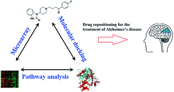 Graphical abstract: In silico drug repositioning for the treatment of Alzheimer's disease using molecular docking and gene expression data