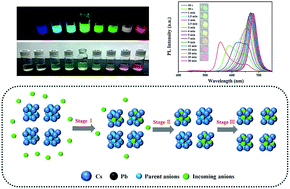 Graphical abstract: Phase transformation, morphology control, and luminescence evolution of cesium lead halide nanocrystals in the anion exchange process
