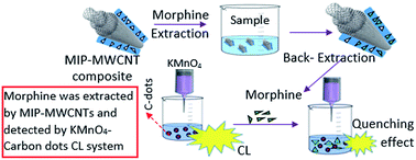 Graphical abstract: Molecularly imprinted polymers on multi-walled carbon nanotubes as an efficient absorbent for preconcentration of morphine and its chemiluminometric determination