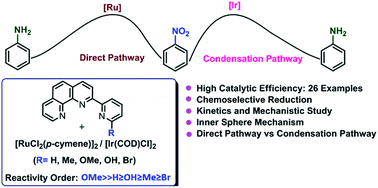 Graphical abstract: A simple and efficient in situ generated ruthenium catalyst for chemoselective transfer hydrogenation of nitroarenes: kinetic and mechanistic studies and comparison with iridium systems