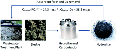 Graphical abstract: Enhanced adsorption of orthophosphate and copper onto hydrochar derived from sewage sludge by KOH activation