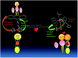 Graphical abstract: Regioselective synthesis of spiroxindolopyrrolidine: a one step cycloaddition reaction twists inherent optical and fluorescence property of ferrocene–anthracene dyad