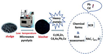 Graphical abstract: Chemical forms and risk assessment of heavy metals in sludge-biochar produced by microwave-induced low temperature pyrolysis