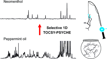 Graphical abstract: A new tool for NMR analysis of complex systems: selective pure shift TOCSY