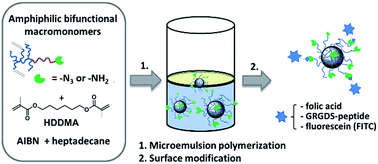 Graphical abstract: Synthesis of well-defined core–shell nanoparticles based on bifunctional poly(2-oxazoline) macromonomer surfactants and a microemulsion polymerization process