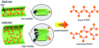 Graphical abstract: Solvent free oxidative coupling polymerization of 3-hexylthiophene (3HT) in the presence of FeCl3 particles