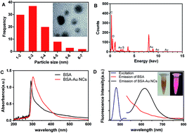 Graphical abstract: Ultra-sensitive fluorescence determination of chromium(vi) in aqueous solution based on selectively etching of protein-stabled gold nanoclusters