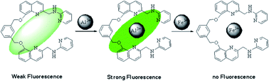 Graphical abstract: A new fluorescent probe based on quinoline for detection of Al3+ and Fe3+ with “off–on–off” response in aqueous solution