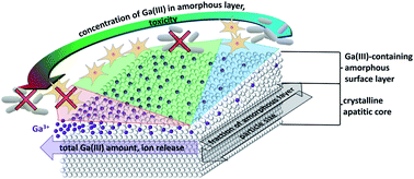 Graphical abstract: Designing Ga(iii)-containing hydroxyapatite with antibacterial activity