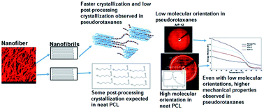 Graphical abstract: Correlation of the stoichiometries of poly(ε-caprolactone) and α-cyclodextrin pseudorotaxanes with their solution rheology and the molecular orientation, crystallite size, and thermomechanical properties of their nanofibers