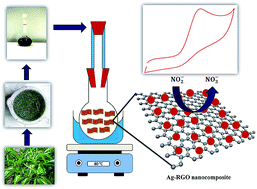 Graphical abstract: One step eco-friendly synthesis of Ag–reduced graphene oxide nanocomposite by phytoreduction for sensitive nitrite determination