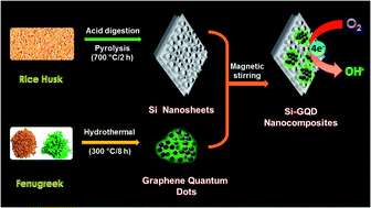 Graphical abstract: Green synthesis of Si–GQD nanocomposites as cost-effective catalysts for oxygen reduction reaction
