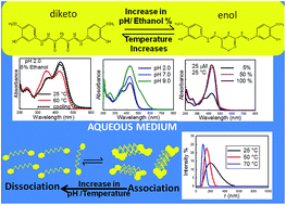 Graphical abstract: Effect of pH and temperature on conformational equilibria and aggregation behaviour of curcumin in aqueous binary mixtures of ethanol