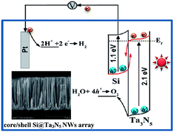 Graphical abstract: Structure engineering of a core/shell Si@Ta3N5 heterojunction nanowires array for photoelectrochemical water oxidation