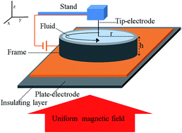 Graphical abstract: Rotation induced by uniform and non-uniform magnetic fields in a conducting fluid carrying an electric current