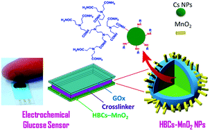 Graphical abstract: Manganese dioxide-core–shell hyperbranched chitosan (MnO2–HBCs) nano-structured screen printed electrode for enzymatic glucose biosensors