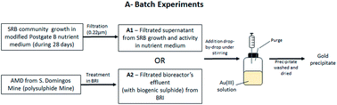 Graphical abstract: Recovery of gold(0) nanoparticles from aqueous solutions using effluents from a bioremediation process