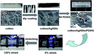 Graphical abstract: Three-dimensional highly conductive silver nanowires sponges based on cotton-templated porous structures for stretchable conductors