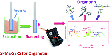 Graphical abstract: Porous silver coating fiber for rapidly screening organotin compounds by solid phase microextraction coupled with surface enhanced Raman spectroscopy
