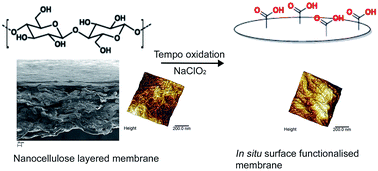 Graphical abstract: In situ TEMPO surface functionalization of nanocellulose membranes for enhanced adsorption of metal ions from aqueous medium