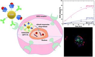 Graphical abstract: Graphene quantum dot-based theranostic agents for active targeting of breast cancer