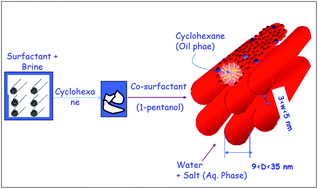 Graphical abstract: Swollen liquid crystals (SLCs): a versatile template for the synthesis of nano structured materials