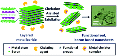 Graphical abstract: Chelation assisted exfoliation of layered borides towards synthesizing boron based nanosheets