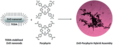 Graphical abstract: ZnO nanorods assembled with different porphyrins – size-tunable hybrid particles
