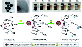 Graphical abstract: Core–shell superparamagnetic monodisperse nanospheres based on amino-functionalized CoFe2O4@SiO2 for removal of heavy metals from aqueous solutions