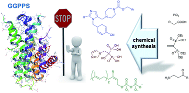 Graphical abstract: Chemical approaches to inhibitors of isoprenoid biosynthesis: targeting farnesyl and geranylgeranyl pyrophosphate synthases