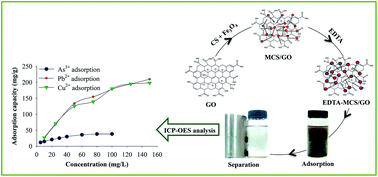 Graphical abstract: Heavy metals removal by EDTA-functionalized chitosan graphene oxide nanocomposites